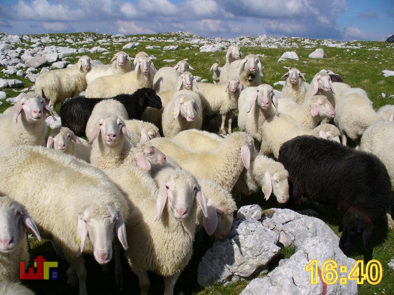 Tour Reiteralpe 2005